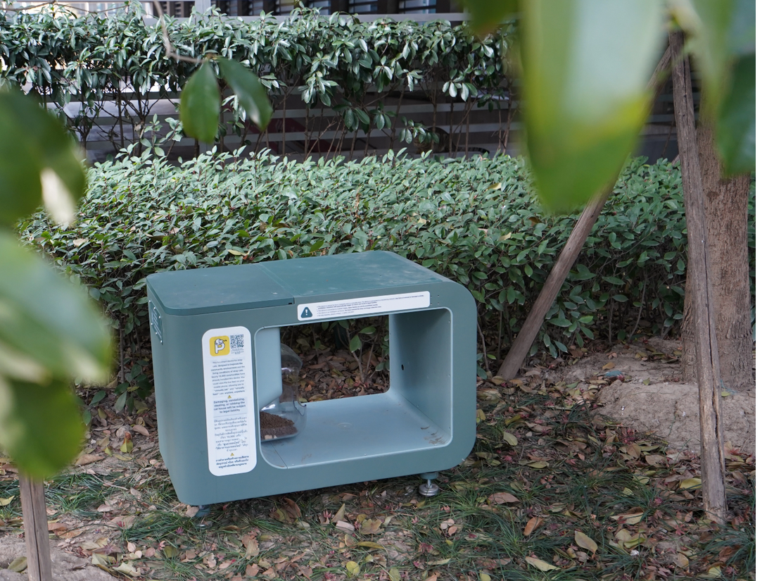 How did these Thai kitties end up eating from Feeder's?