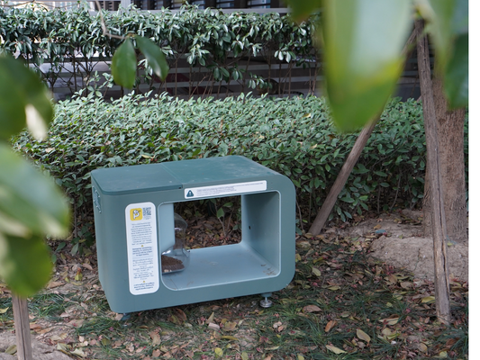 How did these Thai kitties end up eating from Feeder's?