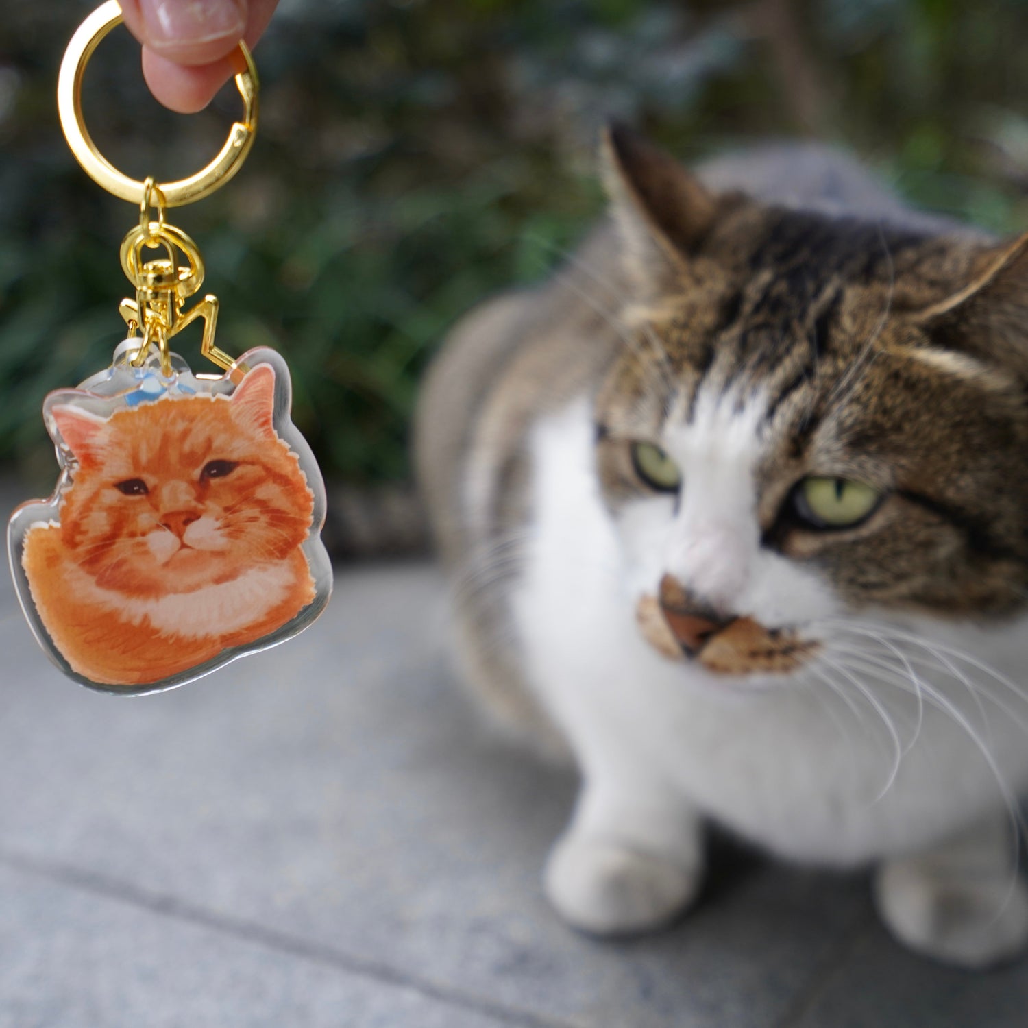 Purrrr Cat Keychain